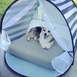 Opens Media Viewer to photo submitted by null