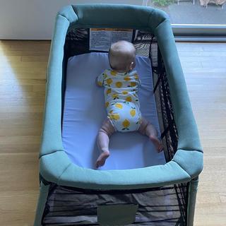 Opens Media Viewer to photo submitted by null