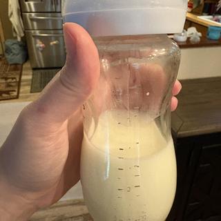 Submitted by Lauren M