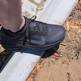 Submitted by Alex