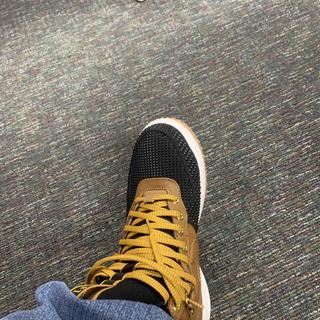 Submitted by DarrellP231647412