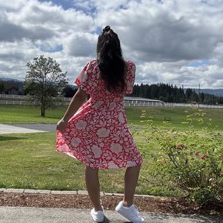 Submitted by Idreama300