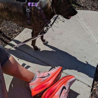 Submitted by elaineyav84