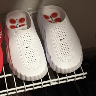 Submitted by TSizzle