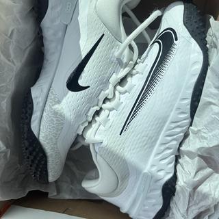 Submitted by Valpeach
