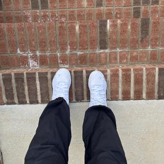 Submitted by THolmes