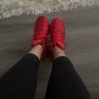 Enviado por Junuenne259982801