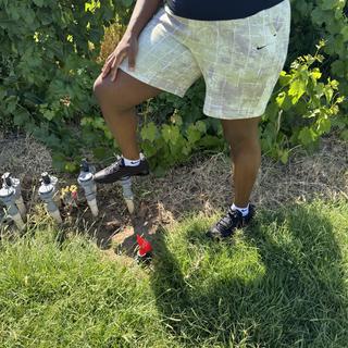 Submitted by Cali_Bre