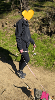 Submitted by Nike Crop Windbreaker