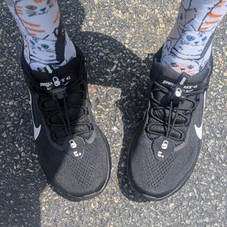Submitted by Sara