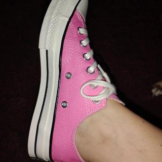 Enviado por Lindsay R