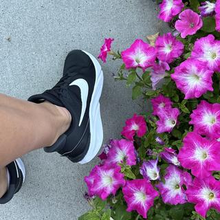 Submitted by LarsFord