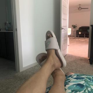 Submitted by 