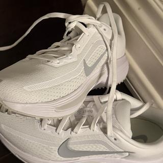 Submitted by Kelsey