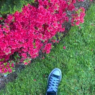 Submitted by Bethanie S