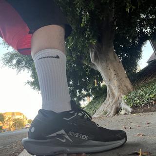Submitted by Alex