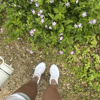 Submitted by LarisaB868717889