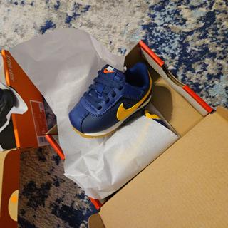 Enviado por RandelM54067296
