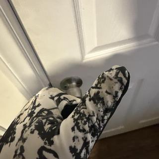 Submitted by JetzielF693500940