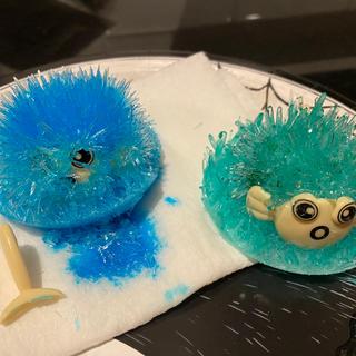 Both fish