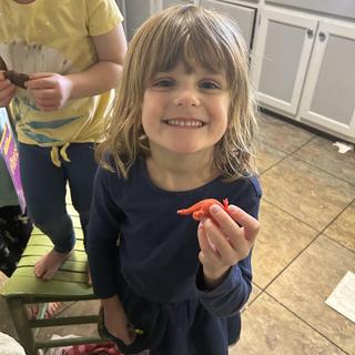 Fun activity for dinosaur lovers