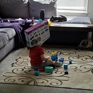 Even the box!
