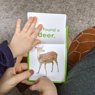 We found a deer!