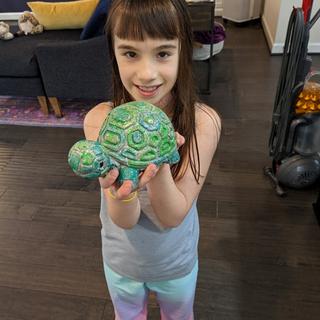 Happy turtle!