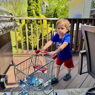 3 yr old ready to shop.