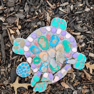 Garden turtle #1