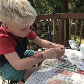 C digging for dinosaurs