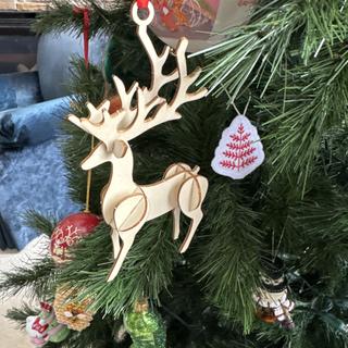 Deer