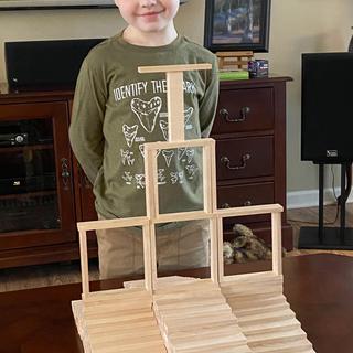 Endless Possibilities for Creative Play!