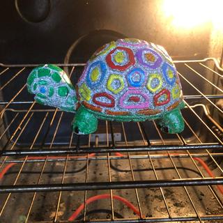 Turtle