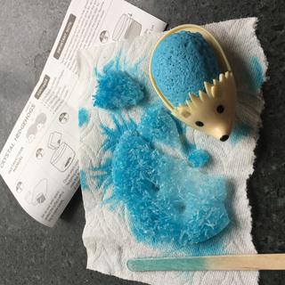 No crystals on hedgehog