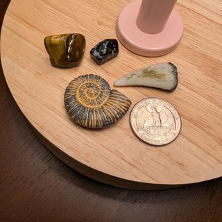Dig objects next to a quarter
