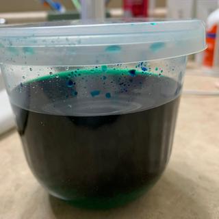 After placing the dinosaur in the dissolved crystal mixture.