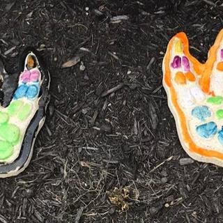 Dino Pedi