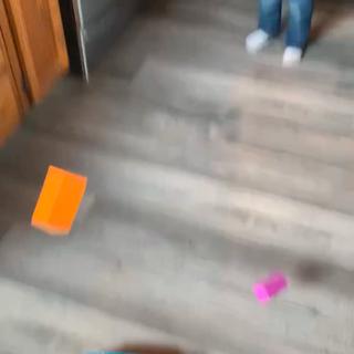Fly !!!