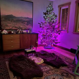 Camping under the Christmas tree