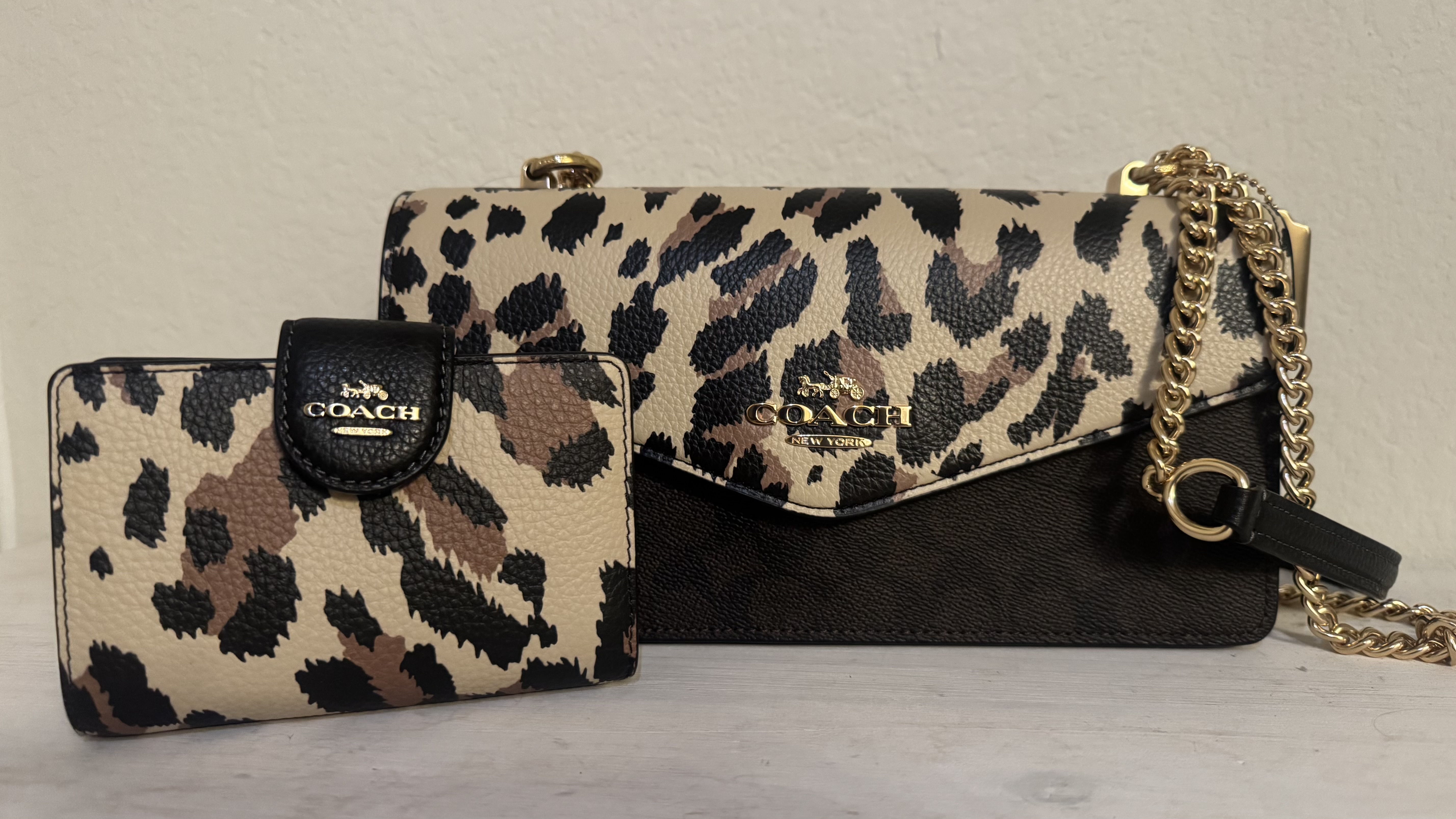 COACH® Outlet | Medium Corner Zip Wallet With Leopard Print