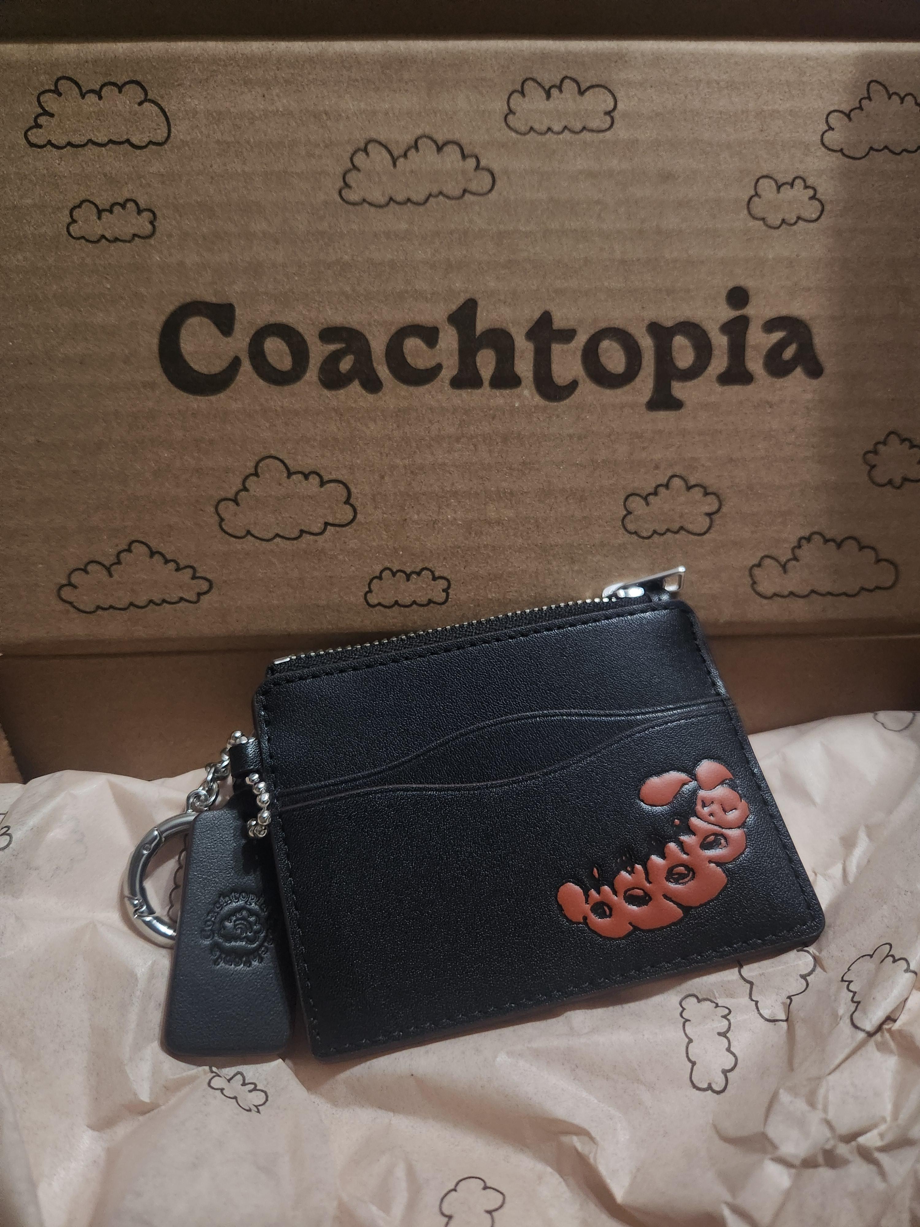 Wavy Zip Card Case In Coachtopia Leather With Key Ring