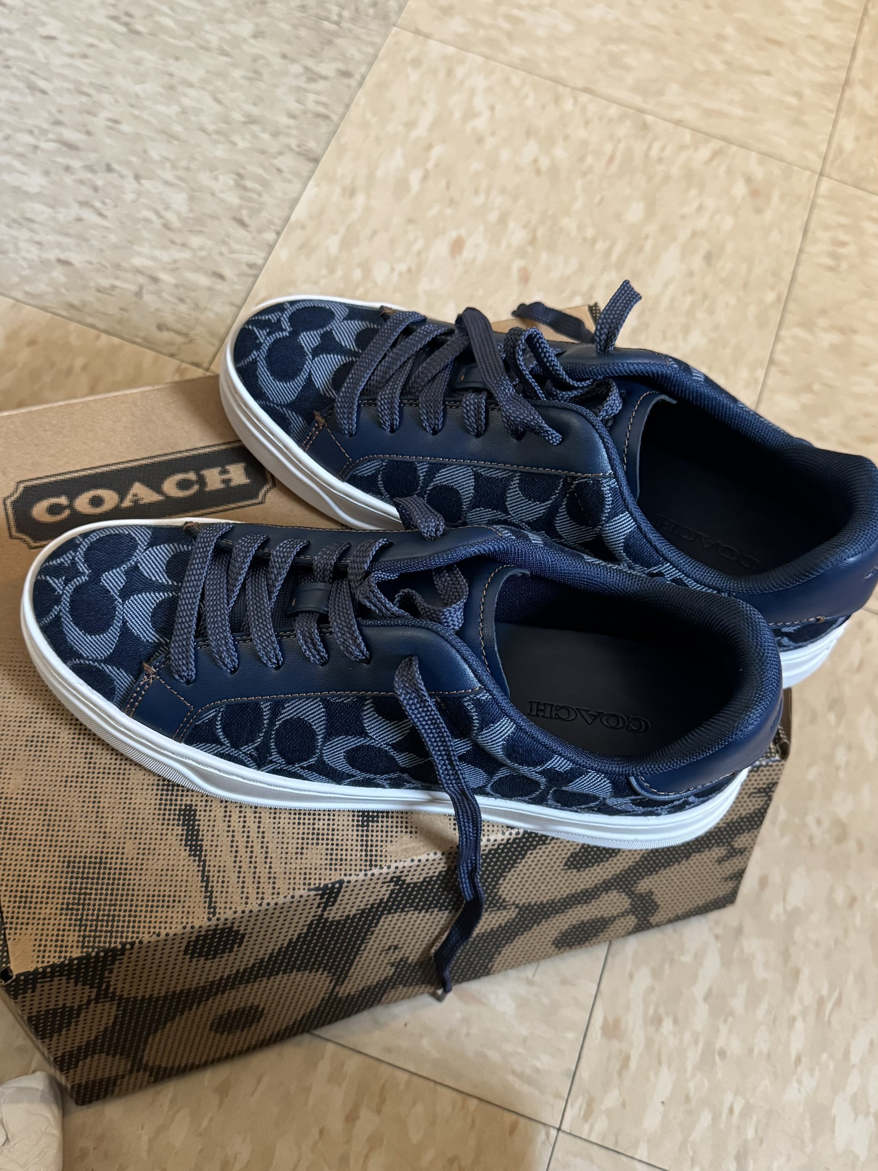 COACH® Outlet | Coach X Peanuts High Line Sneaker In