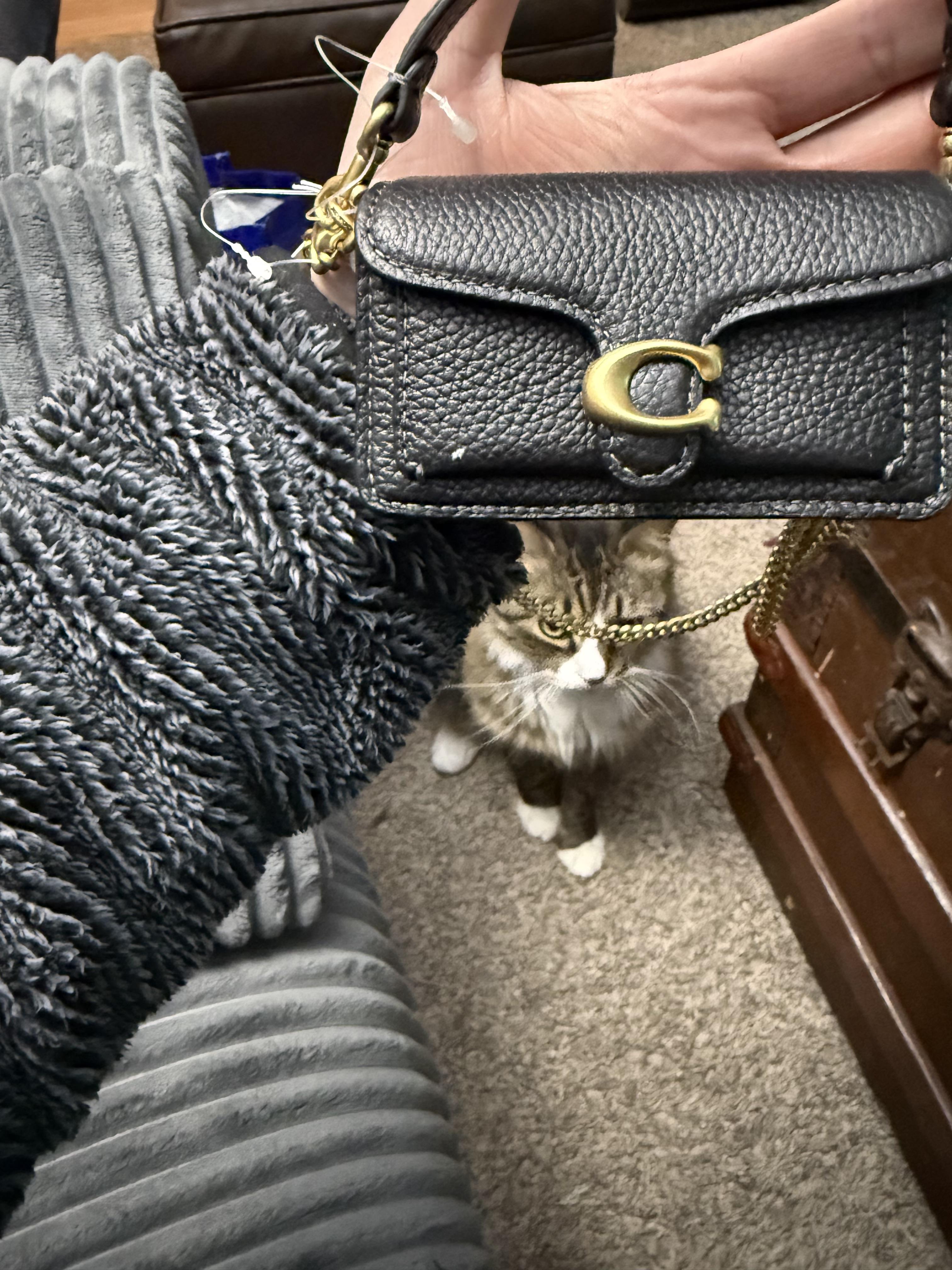 Tabby Bag Charm | Coach New Zealand