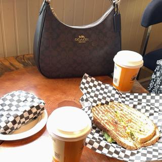 Teri Hobo Bag In Signature Canvas | Coach New Zealand