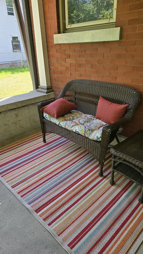 Scope Multicolor Striped Woven Indoor and Outdoor Area Rug 5x7