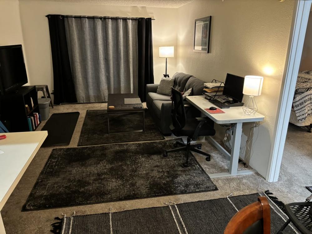 (D415) Antika Dark Grey Medallion Area Rug, 5x7