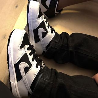 提交者：AnaH844049993