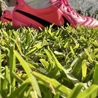 提交者：Nike Acg Pegasus Trail