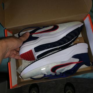Submitted by Alejandro119811208
